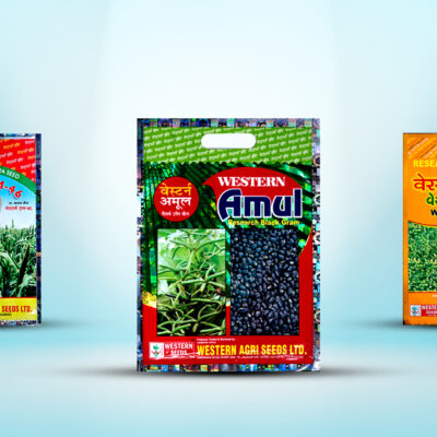 Holographic Security Pouches